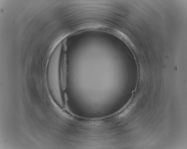 X0000076380802200610202038