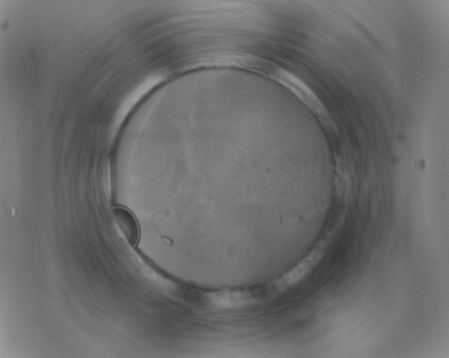 X0000076380804200610202038