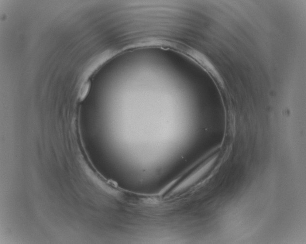 X0000076380805200610202038