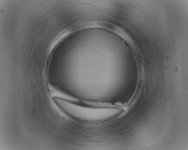 X0000076380806200610202038