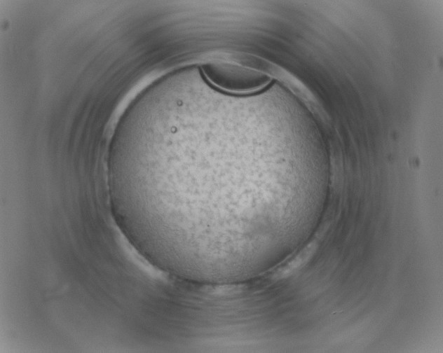 X0000076380808200610202038