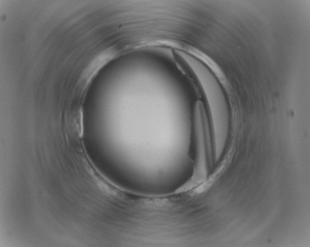 X0000076380809200610202038