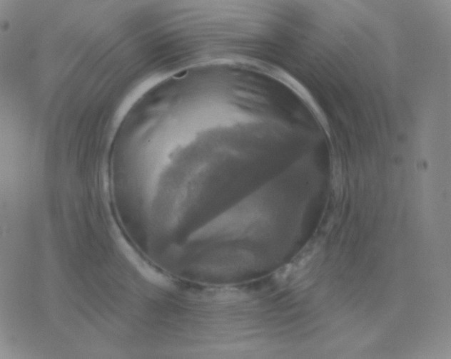 X0000076380811200610202038