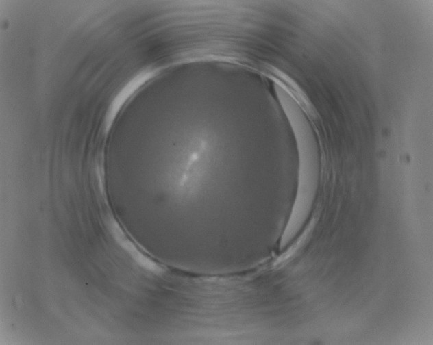 X0000076380812200610202038