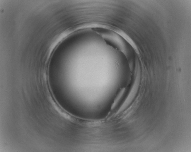 X0000076380813200610202038