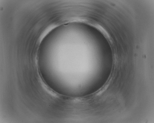 X0000076380814200610202038