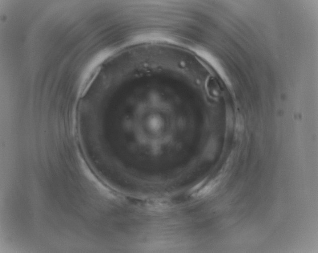 X0000076380815200610202038