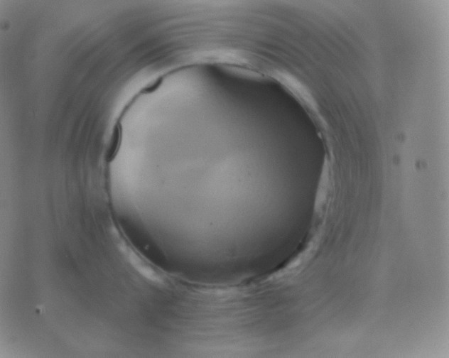 X0000076380816200610202038