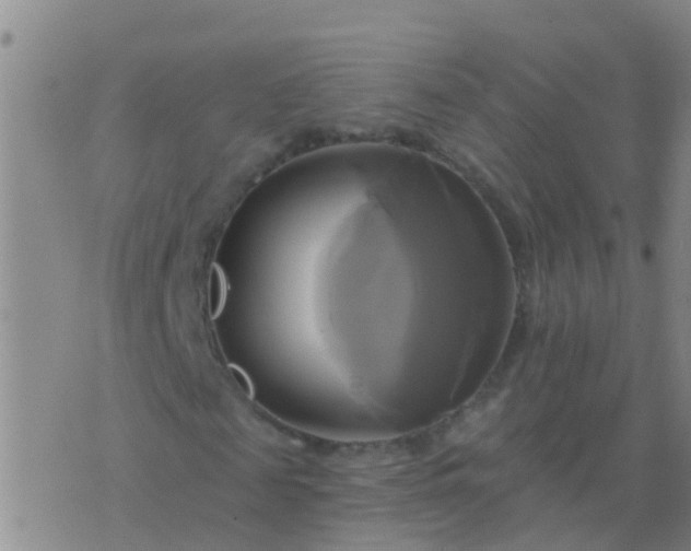 X0000076380817200610202037