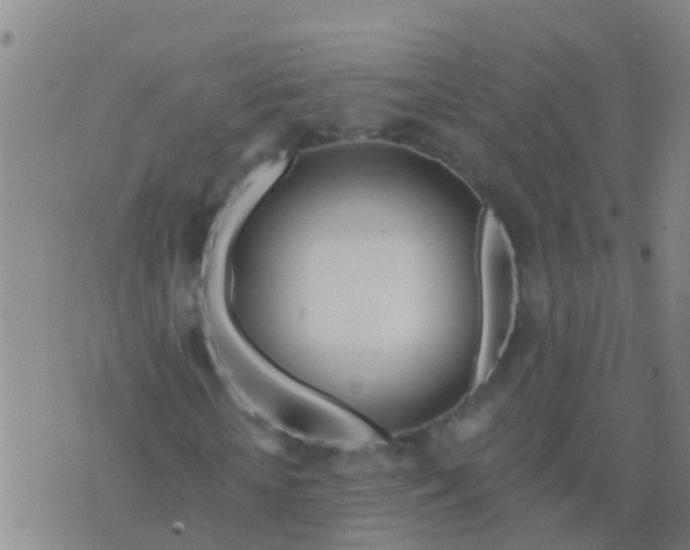 X0000076380818200610202037