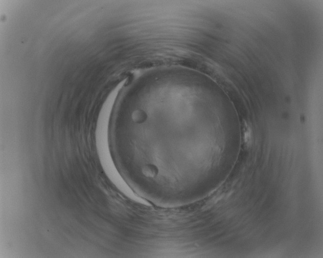 X0000076380819200610202037