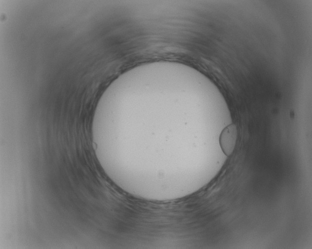 X0000076380820200610202037