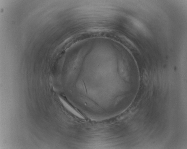 X0000076380821200610202037