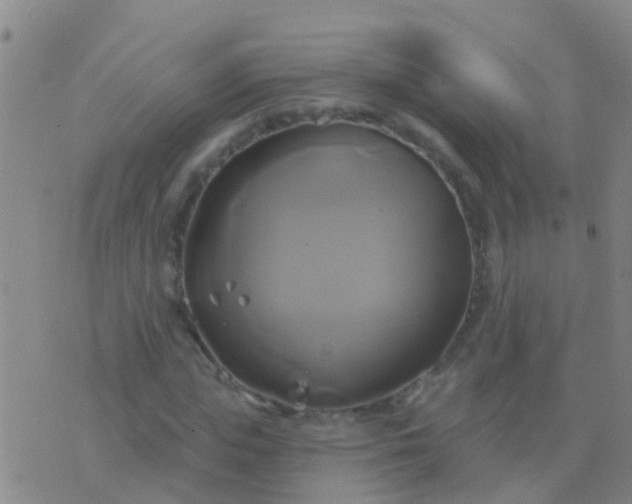 X0000076380823200610202037