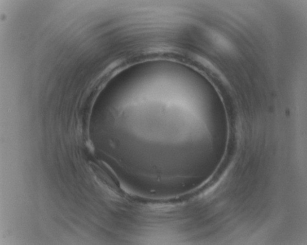 X0000076380825200610202037