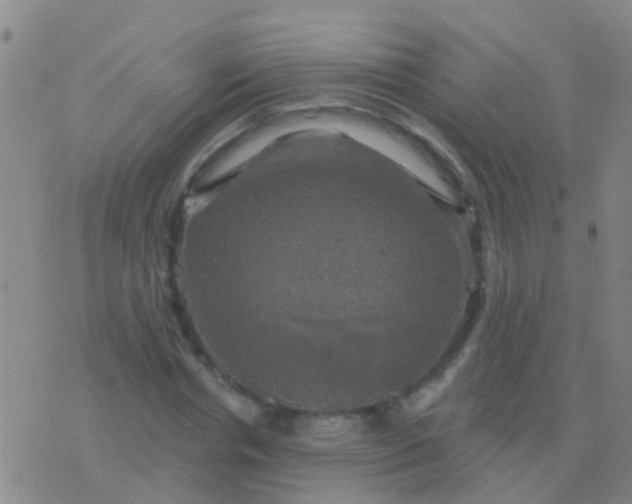 X0000076380826200610202037