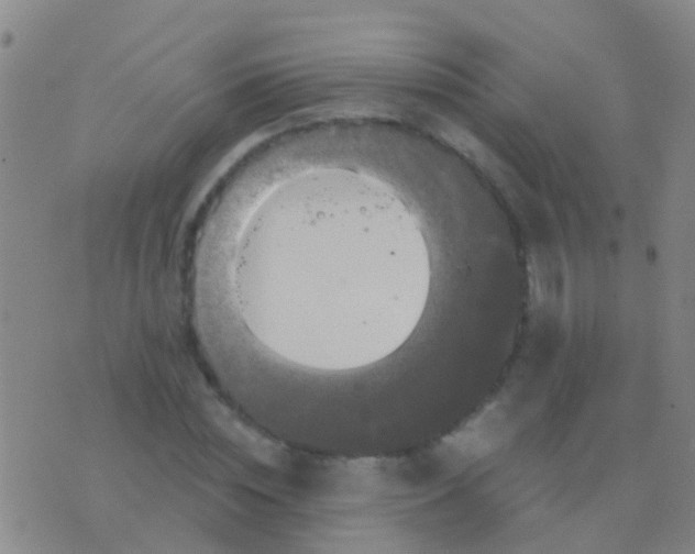 X0000076380828200610202037