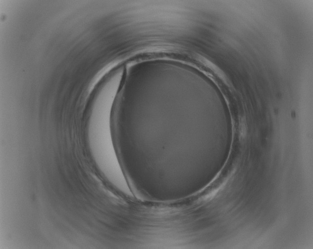 X0000076380829200610202037