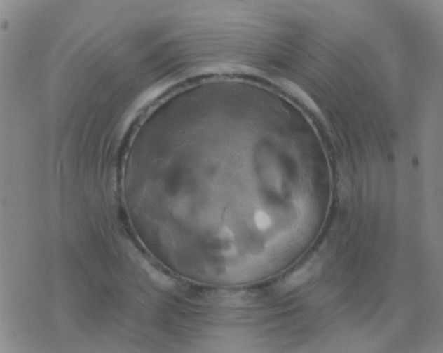 X0000076380831200610202037