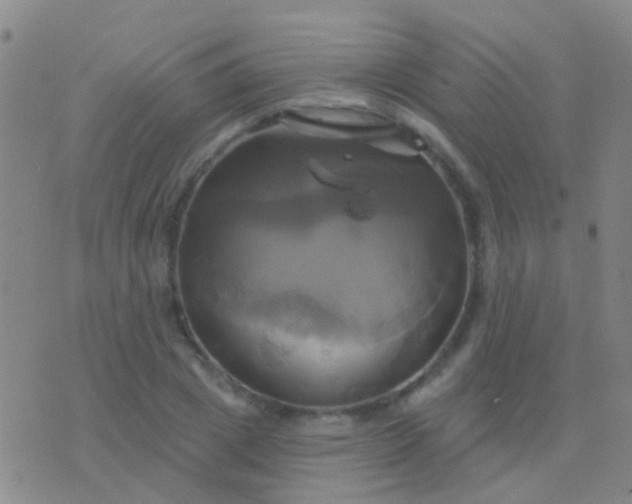 X0000076380833200610202037