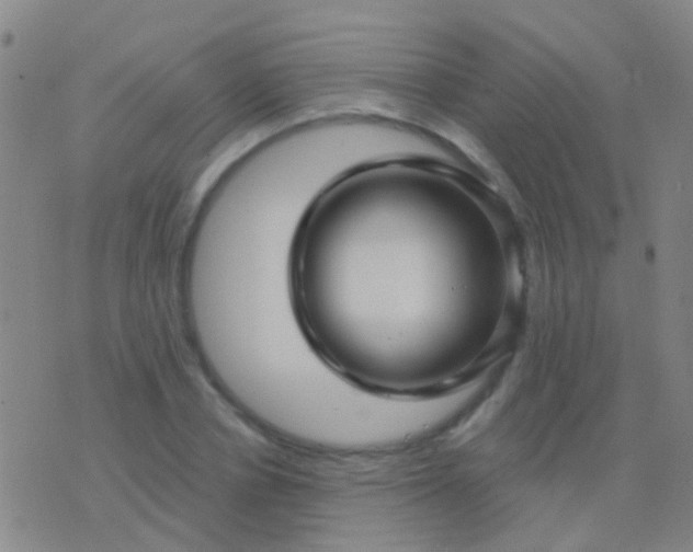 X0000076380834200610202037