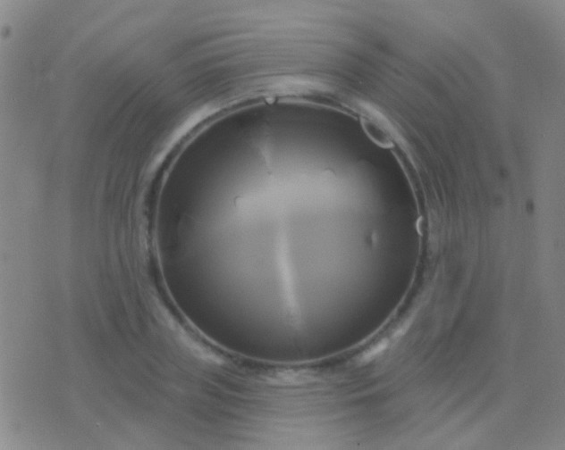 X0000076380835200610202037