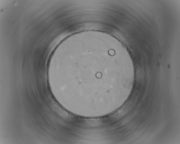 X0000076380836200610202037