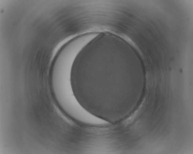 X0000076380838200610202037