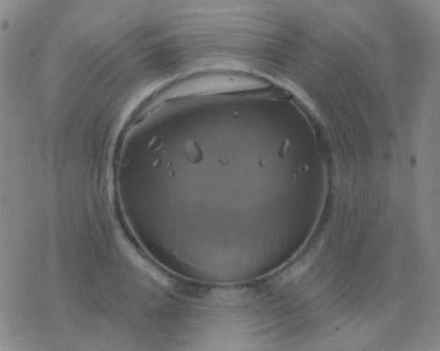 X0000076380840200610202037