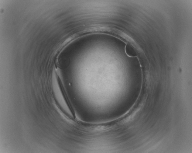 X0000076380841200610202037