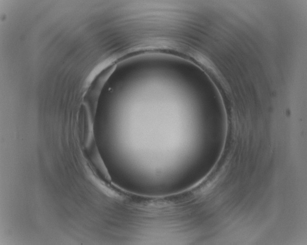 X0000076380842200610202037