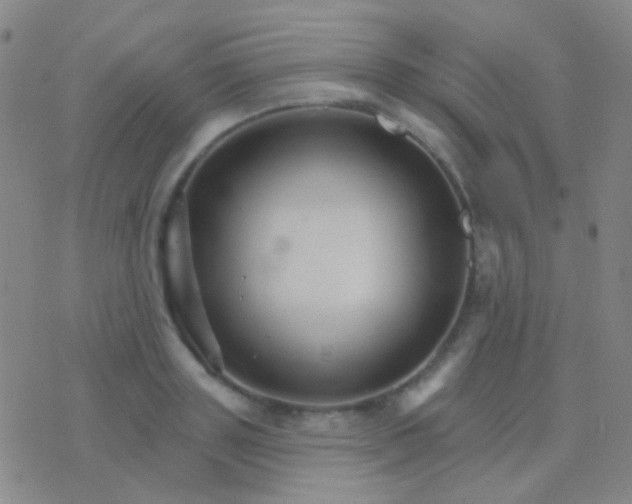 X0000076380843200610202037