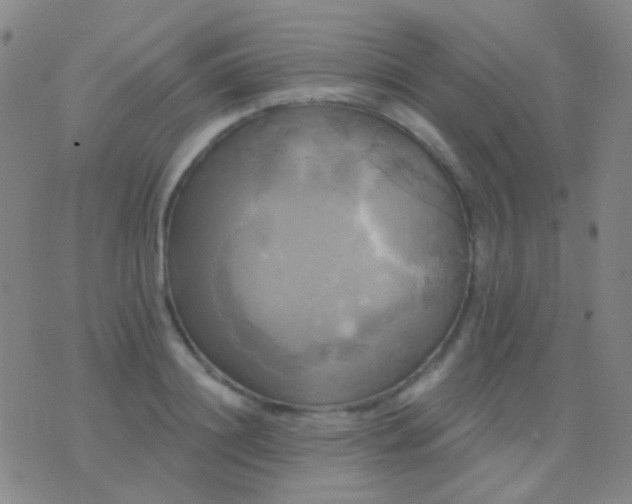 X0000076380844200610202037