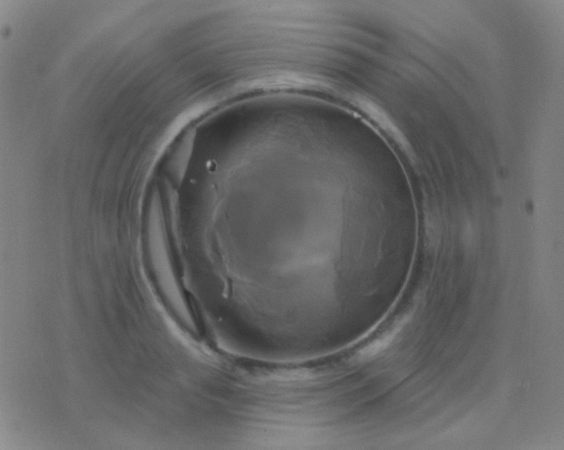 X0000076380845200610202037