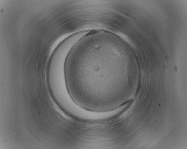 X0000076380846200610202037