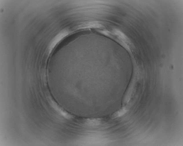 X0000076380850200610202037