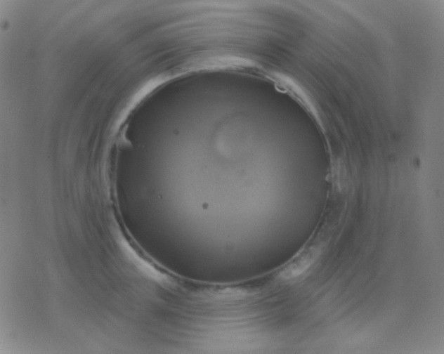 X0000076380851200610202037