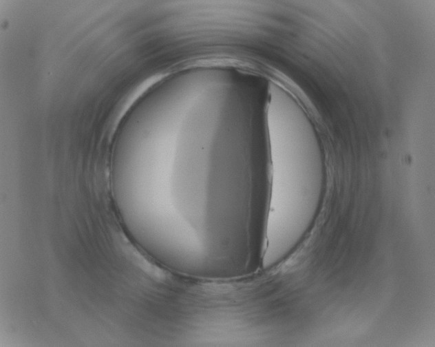 X0000076380852200610202037