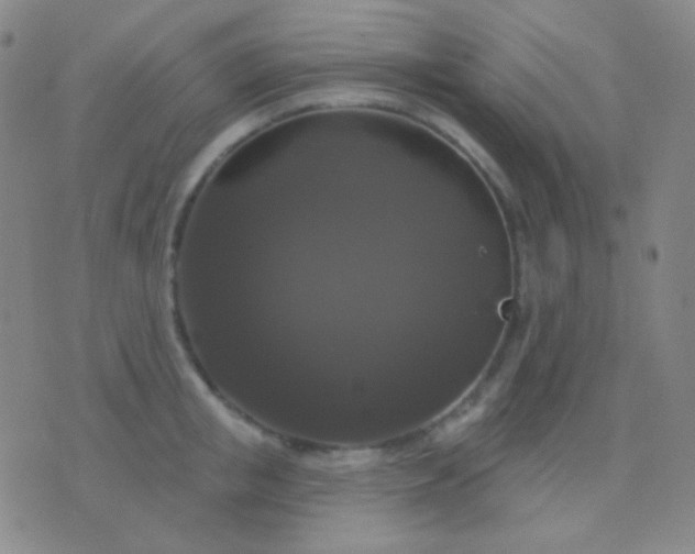 X0000076380853200610202037