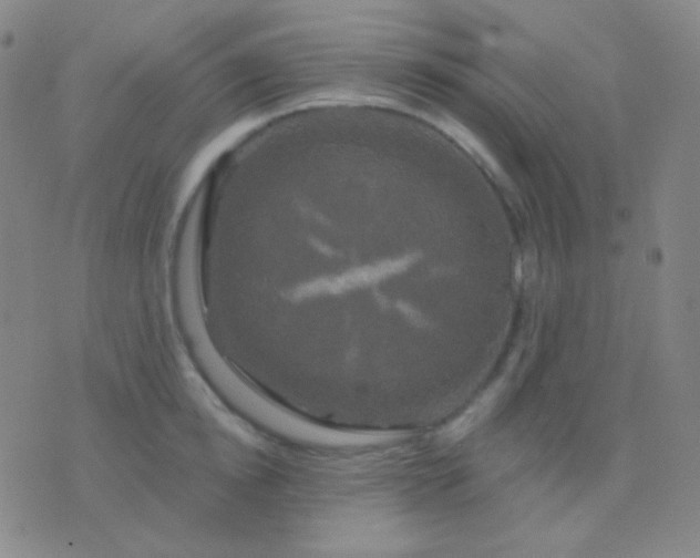 X0000076380854200610202037