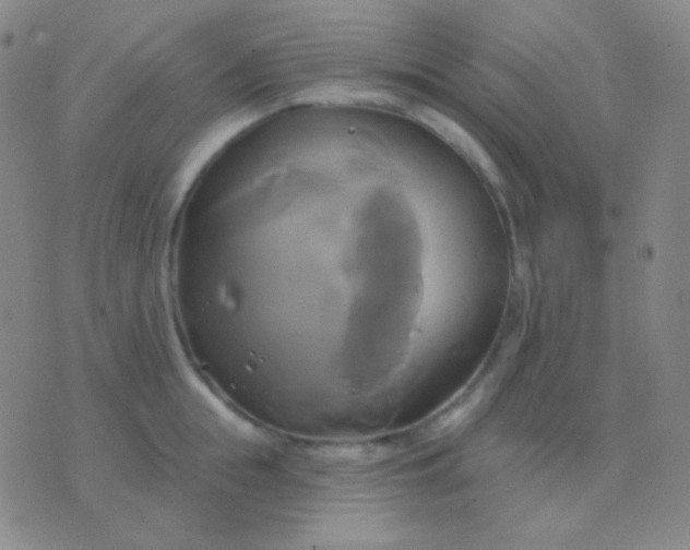 X0000076380855200610202037