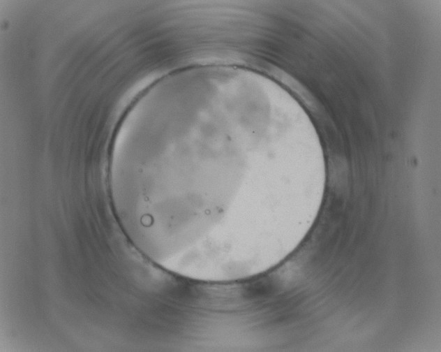 X0000076380856200610202037