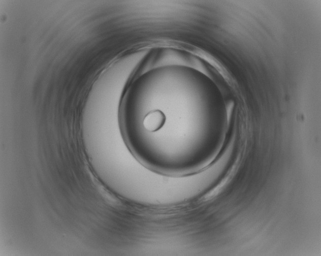 X0000076380857200610202037