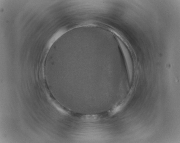 X0000076380858200610202037