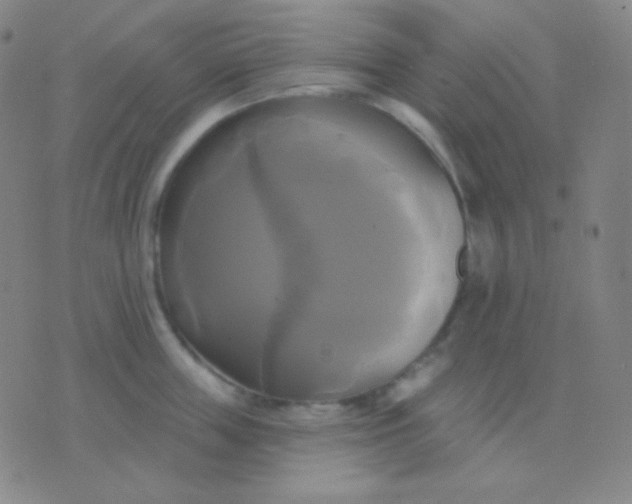 X0000076380859200610202037