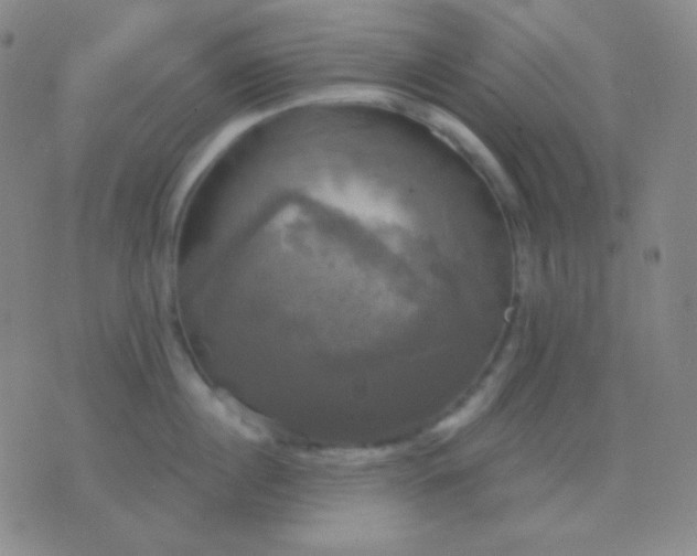 X0000076380860200610202037