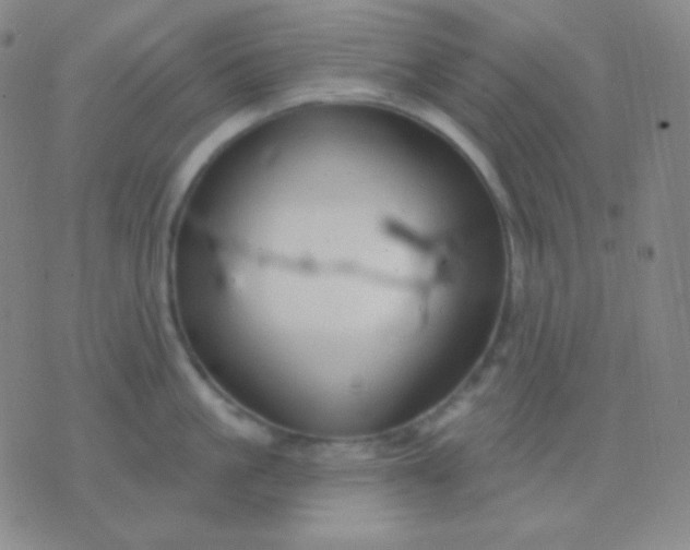 X0000076380861200610202037