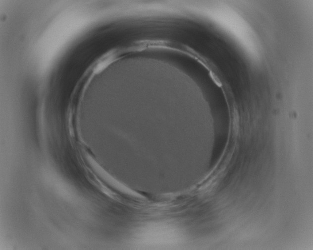 X0000076380862200610202037