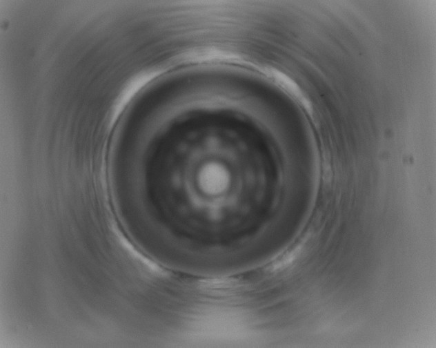 X0000076380863200610202037