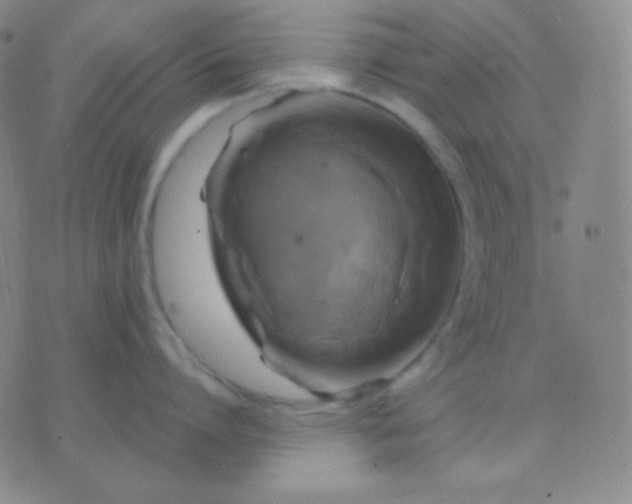 X0000076380864200610202038